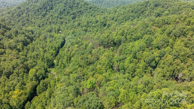 3448 Valley Dr, Lenoir, NC 28645 - photo 29