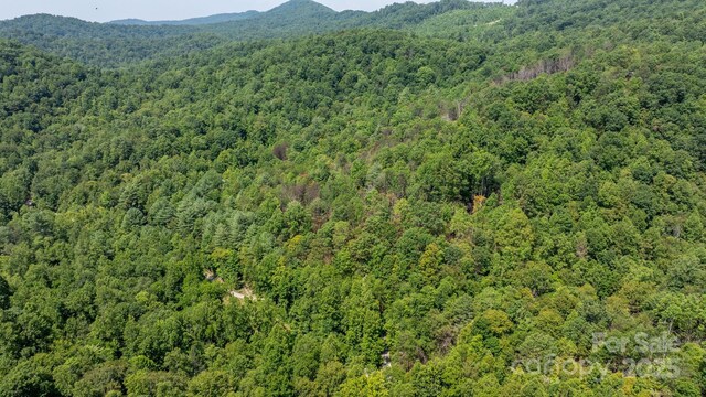3448 Valley Dr, Lenoir, NC 28645 - photo 30