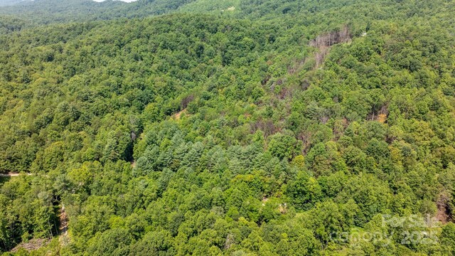 3448 Valley Dr, Lenoir, NC 28645 - photo 31