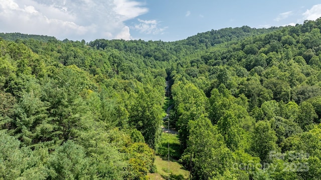 3448 Valley Dr, Lenoir, NC 28645 - photo 36