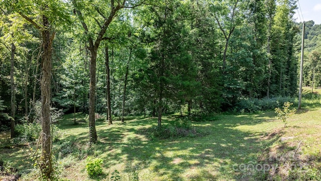 3448 Valley Dr, Lenoir, NC 28645 - photo 38