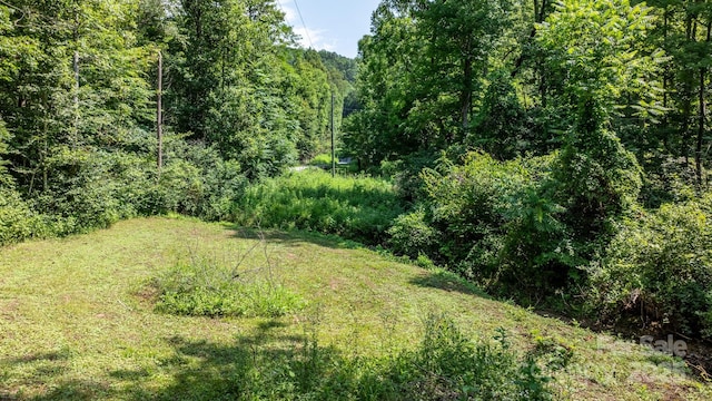 3448 Valley Dr, Lenoir, NC 28645 - photo 39