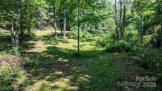 3448 Valley Dr, Lenoir, NC 28645 - photo 41