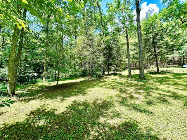3448 Valley Dr, Lenoir, NC 28645 - photo 11