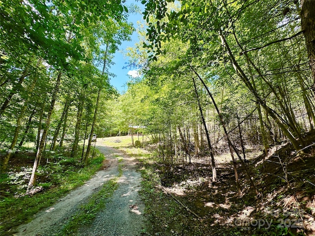 3448 Valley Dr, Lenoir, NC 28645 - photo 13
