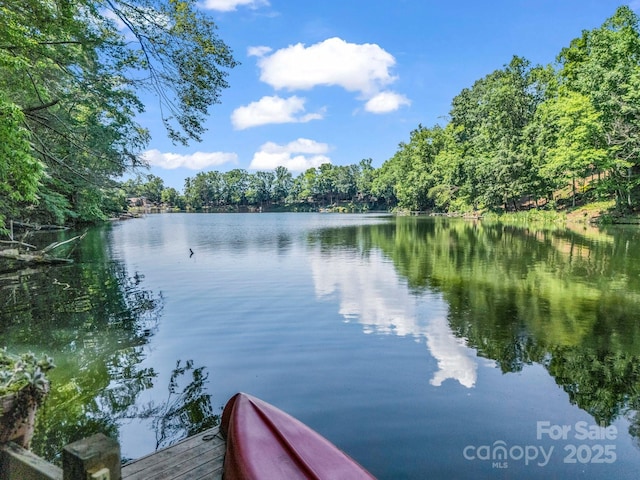 126 Sleeping Bear Ln, Lake Lure, NC 28746 - photo 2