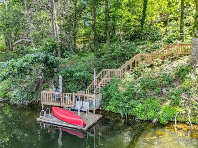 126 Sleeping Bear Ln, Lake Lure, NC 28746 - photo 3
