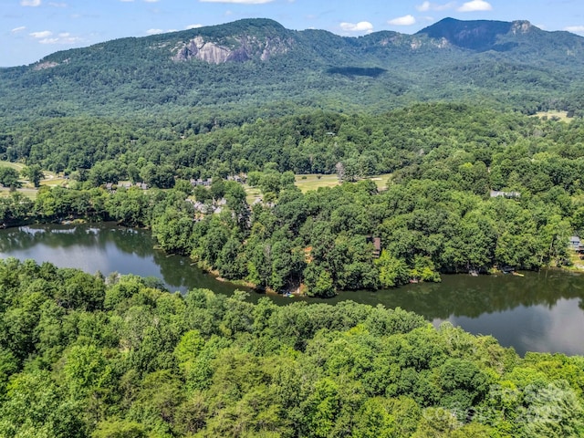 126 Sleeping Bear Ln, Lake Lure, NC 28746 - photo 4