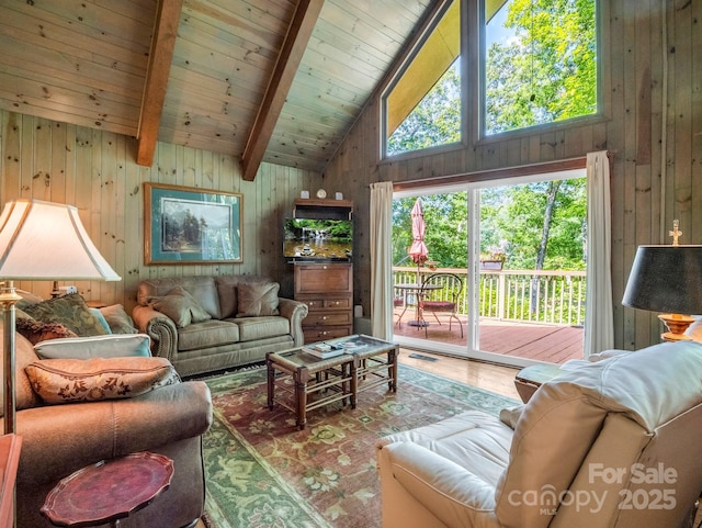 126 Sleeping Bear Ln, Lake Lure, NC 28746 - photo 25