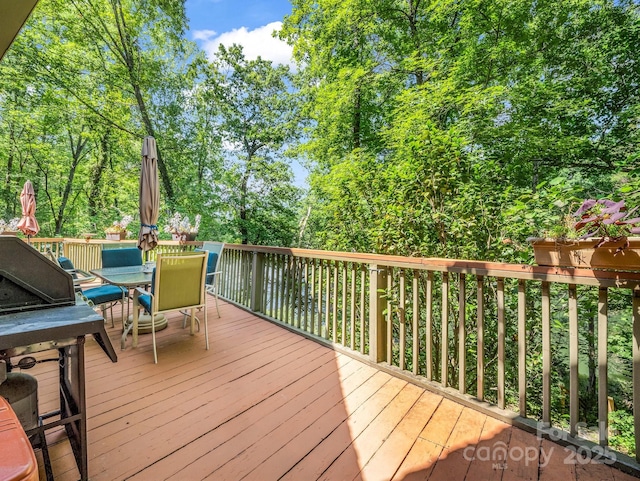 126 Sleeping Bear Ln, Lake Lure, NC 28746 - photo 35