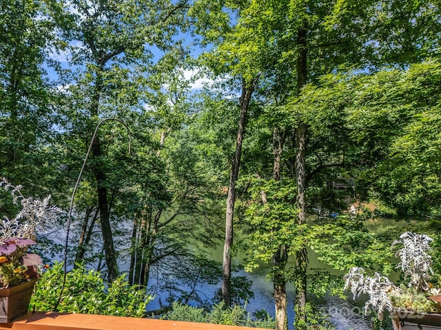 126 Sleeping Bear Ln, Lake Lure, NC 28746 - photo 37