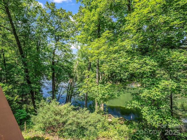 126 Sleeping Bear Ln, Lake Lure, NC 28746 - photo 38
