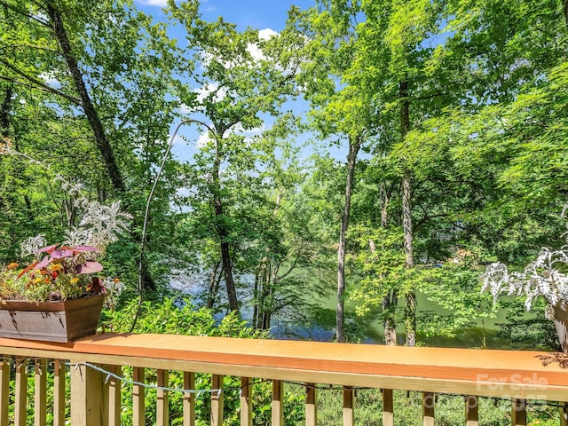 126 Sleeping Bear Ln, Lake Lure, NC 28746 - photo 39