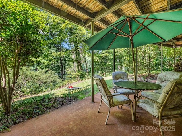 126 Sleeping Bear Ln, Lake Lure, NC 28746 - photo 41