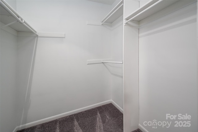 6013 Heath Valley Rd, Charlotte, NC 28210 - walk in closet with carpet floors