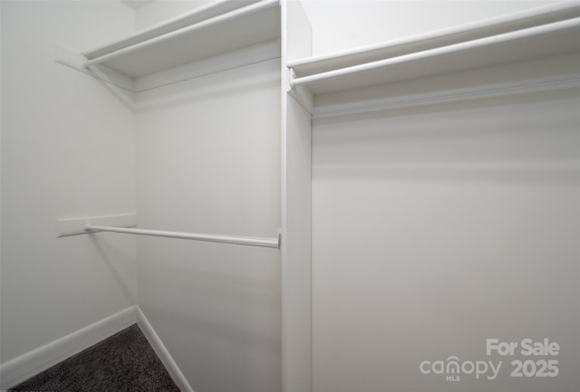 6013 Heath Valley Rd, Charlotte, NC 28210 - spacious closet featuring carpet flooring