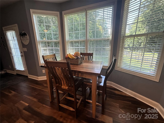 425 Little Cove Creek Dr, Saluda, NC 28773 - photo 6