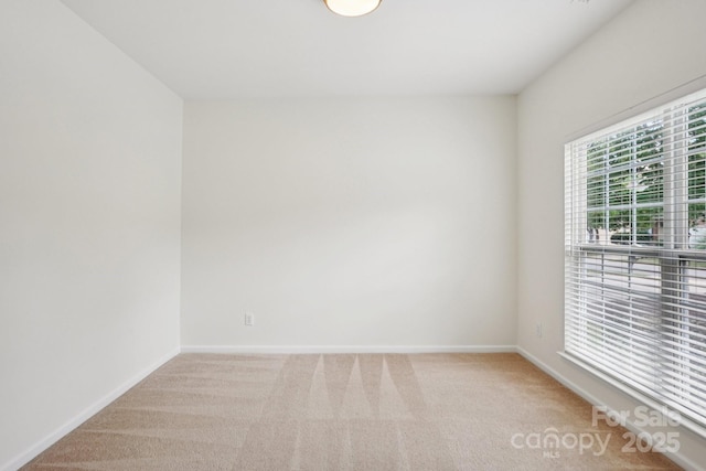 10303 Dominion Village Dr, Charlotte, NC 28269 - photo 14