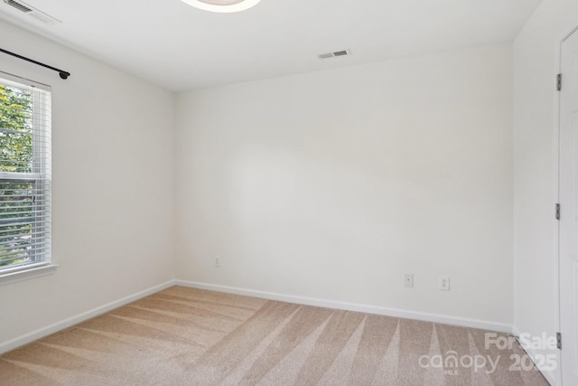 10303 Dominion Village Dr, Charlotte, NC 28269 - photo 35