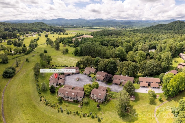 175 Glen Cannon Pt Unit 2, Pisgah Forest, NC 28768 - drone / aerial view of a mountainous background