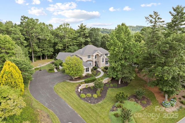 117 Founders Dr, Flat Rock, NC 28731 - aerial view of property's location featuring a heavily wooded area