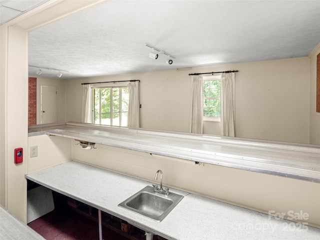6 Ravenswood Rd, Flat Rock, NC 28731 - photo 36