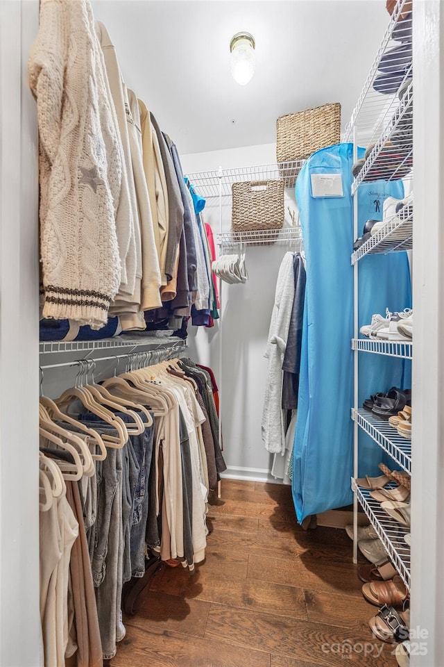 1010 Rainbow Cir, Catawba, SC 29704 - spacious closet with hardwood / wood-style floors