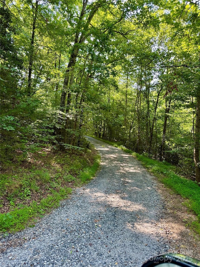 3190 Wild Dogwood Ln, Morganton, NC 28655 - photo 45