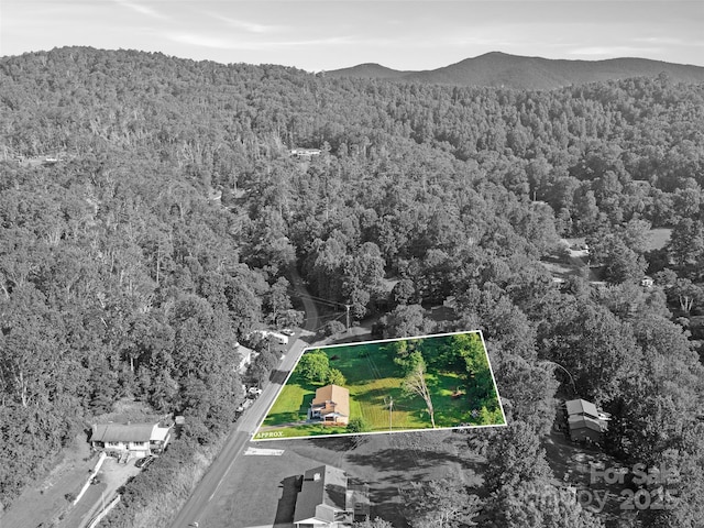 96 W Mountain Rd, Spruce Pine, NC 28777 - photo 21