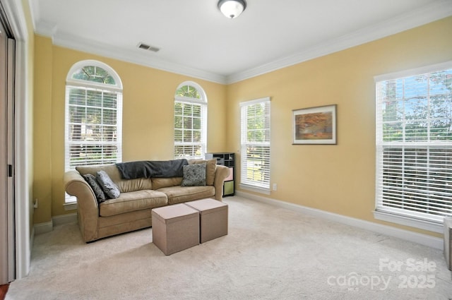 205 Beech Bluff Dr, Mount Holly, NC 28120 - photo 23