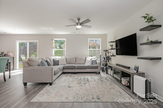1478 Cannan Mountain Dr, Newton, NC 28658 - living area with healthy amount of natural light, wood finished floors, and a ceiling fan