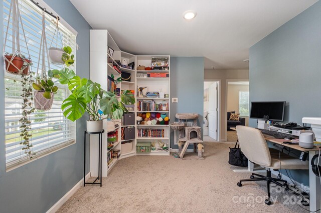 1478 Cannan Mountain Dr, Newton, NC 28658 - carpeted office featuring baseboards