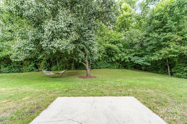 3619 Dashiel Dr, Charlotte, NC 28262 - photo 24