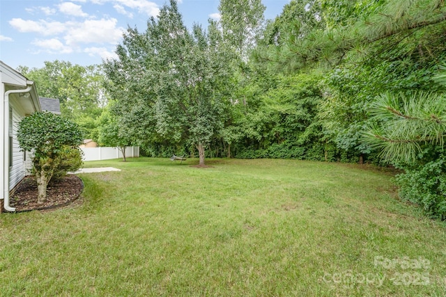 3619 Dashiel Dr, Charlotte, NC 28262 - photo 29