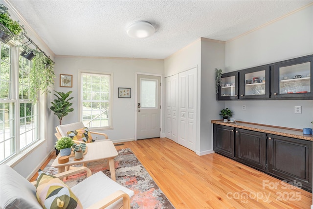 38 Hudson Holw, Horse Shoe, NC 28742 - photo 4
