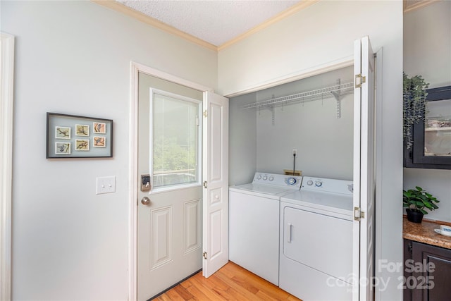 38 Hudson Holw, Horse Shoe, NC 28742 - photo 8