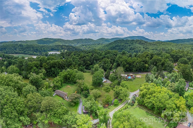 38 Hudson Holw, Horse Shoe, NC 28742 - photo 25