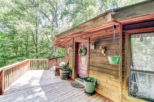 1119 Brandywine Rd, Waynesville, NC 28786 - photo 44