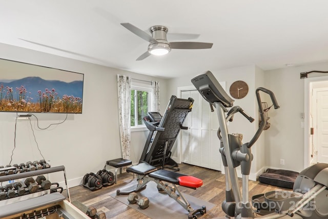 1184 Salola Ln, Brevard, NC 28712 - photo 31