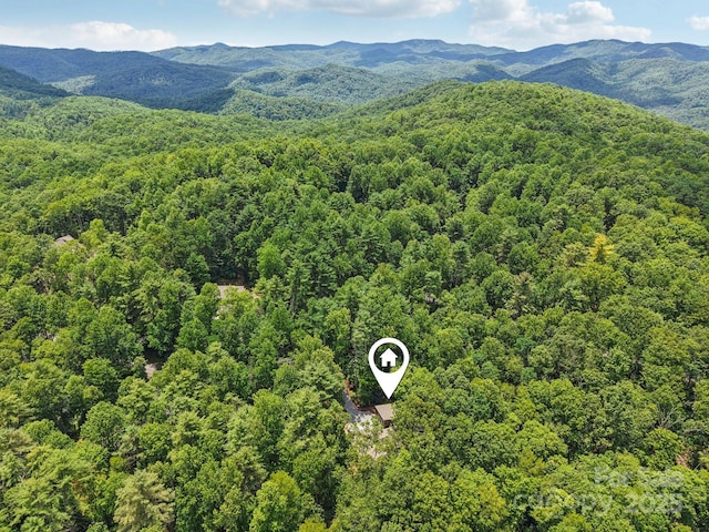1184 Salola Ln, Brevard, NC 28712 - photo 36