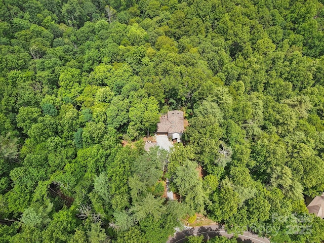 1184 Salola Ln, Brevard, NC 28712 - photo 37