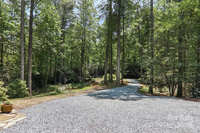 1184 Salola Ln, Brevard, NC 28712 - photo 40