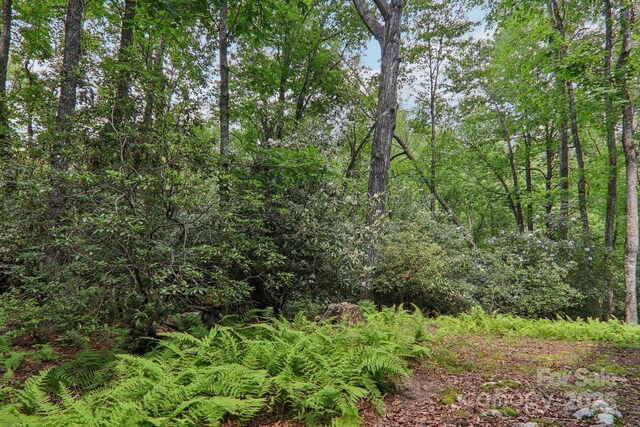 1184 Salola Ln, Brevard, NC 28712 - photo 42