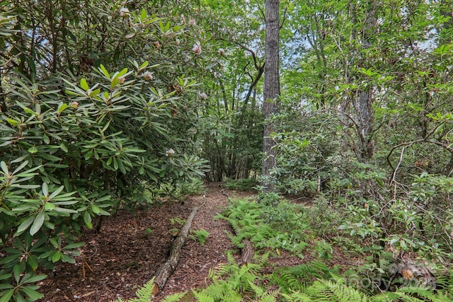 1184 Salola Ln, Brevard, NC 28712 - photo 43