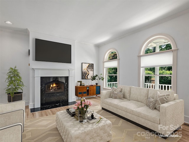 44 Ardoyne Rd, Asheville, NC 28804 - photo 6