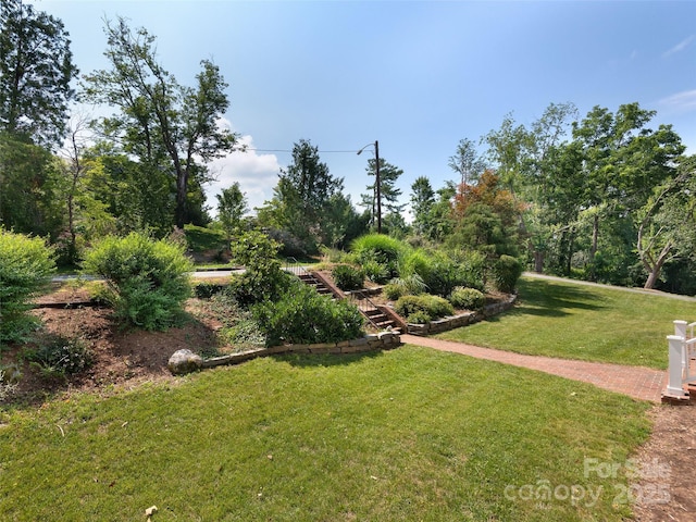 44 Ardoyne Rd, Asheville, NC 28804 - photo 40