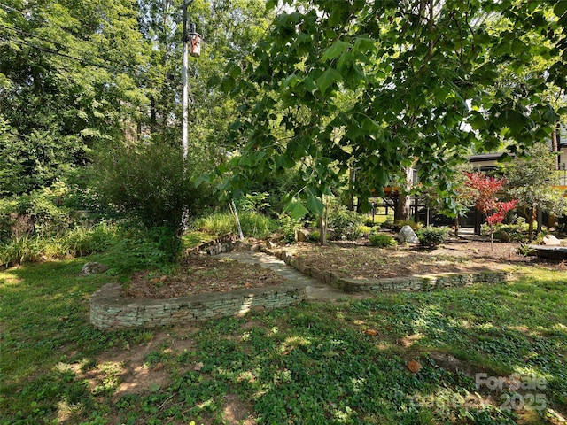 44 Ardoyne Rd, Asheville, NC 28804 - photo 41