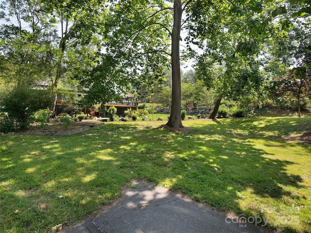 44 Ardoyne Rd, Asheville, NC 28804 - photo 42