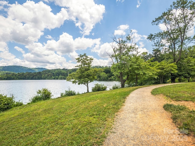 44 Ardoyne Rd, Asheville, NC 28804 - photo 46