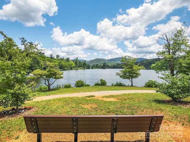 44 Ardoyne Rd, Asheville, NC 28804 - photo 47
